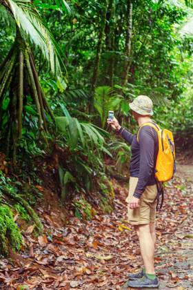 Hike in Costa Rica Hiking in green tropical jungle, Costa Rica, Central America ,model released, Symbolfoto Copyright: xZoonar.com GalynaxAndrushkox 11711380 ,model released, Symbolfoto ,property released