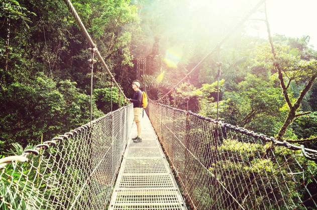 Hike in Costa Rica Hiking in green tropical jungle, Costa Rica, Central America ,model released, Symbolfoto Copyright: xZoonar.com GalynaxAndrushkox 11711415 ,model released, Symbolfoto ,property released