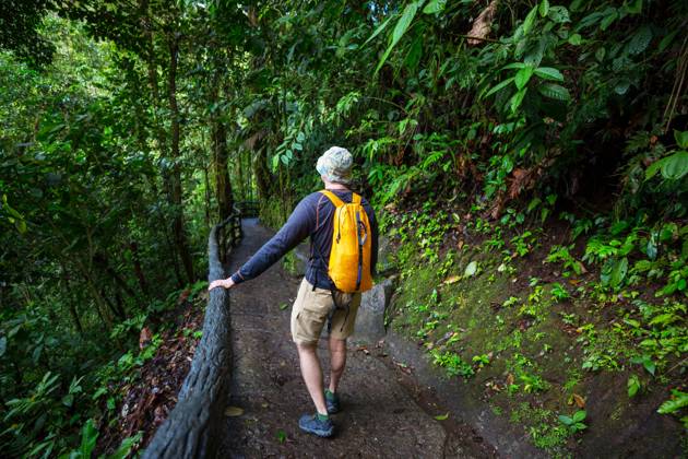 Hike in Costa Rica Hiking in green tropical jungle, Costa Rica, Central America ,model released, Symbolfoto Copyright: xZoonar.com GalynaxAndrushkox 11714941 ,model released, Symbolfoto ,property released
