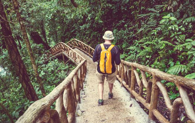 Hike in Costa Rica Hiking in green tropical jungle, Costa Rica, Central America ,model released, Symbolfoto Copyright: xZoonar.com GalynaxAndrushkox 11714950 ,model released, Symbolfoto ,property released