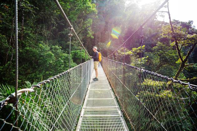 Hike in Costa Rica Hiking in green tropical jungle, Costa Rica, Central America ,model released, Symbolfoto Copyright: xZoonar.com GalynaxAndrushkox 11715001 ,model released, Symbolfoto ,property released