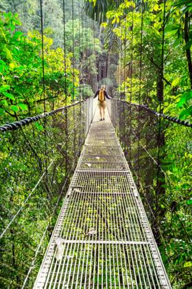 Hike in Costa Rica Hiking in green tropical jungle, Costa Rica, Central America ,model released, Symbolfoto Copyright: xZoonar.com GalynaxAndrushkox 11715050 ,model released, Symbolfoto ,property released