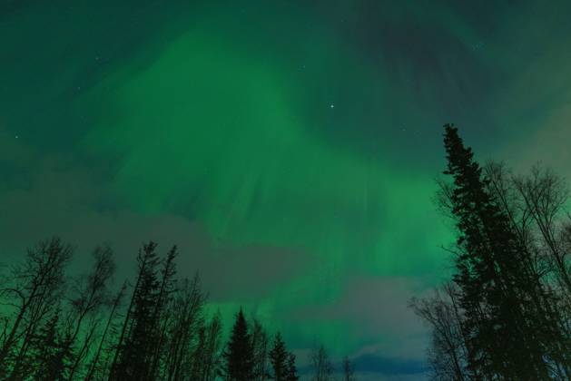Bilder des Jahres 2024, News 11 November News Themen der Woche KW45 News Bilder des Tages Northern Lights (Aurora Borealis) illuminate the sky in Alaska, United States Eagle River, Alaska, United States - November 9, 2024: The Aurora Borealis, known as Alaska s northern lights, presented a mesmerizing dance of light in the sky today. Triggered by recent solar flares, this aurora show created a unique visual experience in Alaska s dark and clear skies. The northern lights continue throughout the long winter nights, creating an unforgettable sight for nature lovers and photographers in the region. Copyright: xHASANxAKBASx