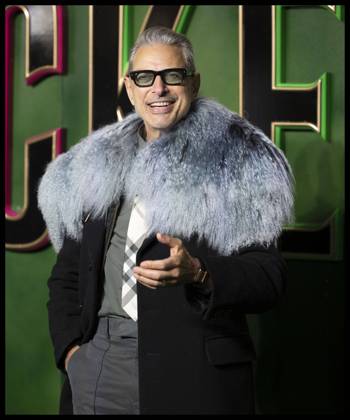 Bilder des Jahres 2024, Entertainment 11 November Entertainment Themen der Woche KW47 Entertainment Bilder des Tages . 18 11 2024. London, United Kingdom. Jeff Goldblum arriving at the Wicked premiere in London.  xStephenxLockx xi-Imagesx IIM-25585-0033
