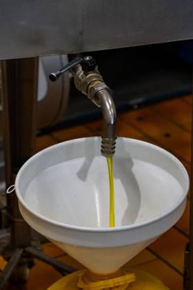 Filtered extra virgin olive oil is dispensed into a container after processing in an olive oil mill in Italy. Fara in Sabina Lazio Italy Copyright: xJonxG.xFullerx xVWPicsx 2270-JGF-industry-OliveProcessing-IT