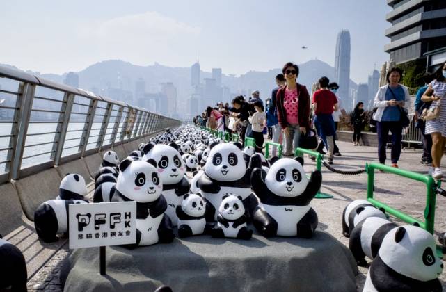 Bilder des Jahres 2024, News 12 Dezember News Themen der Woche KW49 HONG KONG, CHINA - DECEMBER 07: Thousands of giant panda sculptures are displayed at the Avenue of Stars in Tsim Sha Tsui as part of the PANDA GO! Fest Hong Kong Exhibition on December 7, 2024 in Hong Kong, China. The 2,500 giant panda sculptures will be publicly displayed at the Tsim Sha Tsui promenade today and tomorrow before setting their footprints at three other locations this month.  Copyright: xVCGx 111535183131