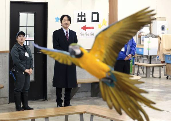 Entertainment Themen der Woche KW51 Bilder des Jahres 2024, Entertainment 12 Dezember Entertainment Bilder des Tages Crown prince visits central Japan zoo Japanese Crown Prince Fumihito (2nd from L) watches a blue-and-yellow macaw flying on a zoo staffer s instruction during a visit to Shizuoka Municipal Nihondaira Zoo in the central Japan city of Shizuoka on Dec. 19, 2024.  A14AA0003889986P