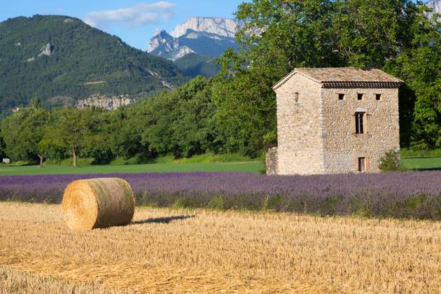 Lavendel, Schmalblaettriger Lavendel, Echter Lavendel (Lavandula angustifolia, Lavandula officinalis), Lavendelfeld und Stoppelfeld mit Strohballen, Frankreich, Drome English lavender (Lavandula angustifolia, Lavandula officinalis), Lavender field and stubble field with straw bales, France, Drome BLWS721827