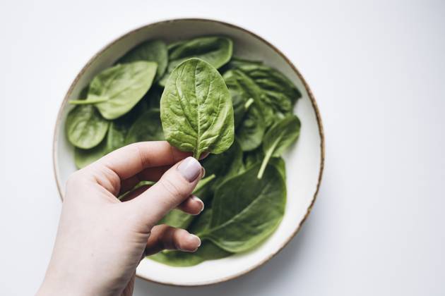 A hand holding a fresh green spinach leaf over a bowl filled with more spinach leaves. The vibrant green color emphasizes freshness and health, ideal for culinary themes. Model Released HannaYakimenko_ID26198_755897_005 Copyright: xHannaxYakimenkox