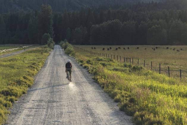 Cyclist riding a dirt trail surrounded by nature in a quiet rural area Canada, British Columbia, Pemberton CR_PSFZ250124-1624956-01 ,model released, Symbolfoto