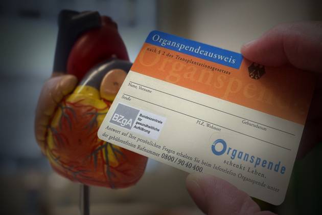 THEMENFOTO -FOTOMONTAGE: Organspendeausweis (Symbolfoto) Organspende,Spenderorgan,Ausweis,