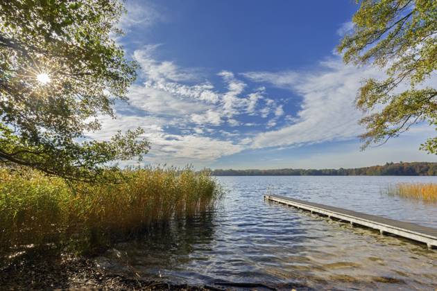 Holzsteg am Schaalsee im Herbst, Herbst, Biosphärenreservat Schaalsee, Schleswig Holstein, Deutschland, Europa Wooden jetty at lake Schaalsee in autumn, fall, Biosphärenreservat Schaalsee, Schleswig-Holstein, Germany, Europe Copyright: imageBROKER alimdix xArterrax xS ibltsm12350888