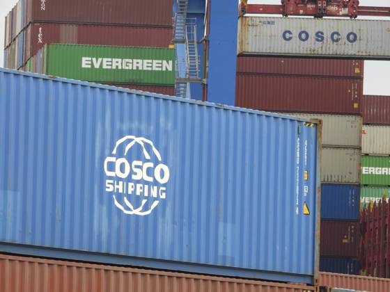 HAMBURG 08.AUGUST 24 - DB SCHENKER LAGER Container Lagerung Logo Cosco Shipping Spedition und Lagerlogistik Firma DB Schenker gibt Einblicke in das eigene Logistikzentrum Die Firma DB Schenker zeigt die großen Lagerhallenkomplexe, die Containerabfertigung, Beladung von Containern und weiteres Die Spedition DB Schenker gewährte heute auf einem Presserundgang Einblicke in Ihr Logistikzentrum, wie Container beladen und verladen werden und vieles weitere was zum Alltagsgeschäft in der Logistibranche gehört. HH Deutschland