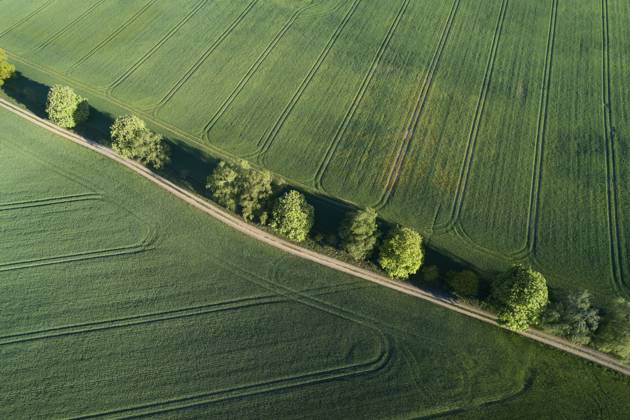 Germany, Mecklenburg-Western Pomerania, Aerial view of dirt road between green vast wheat fields in spring, RUEF02327