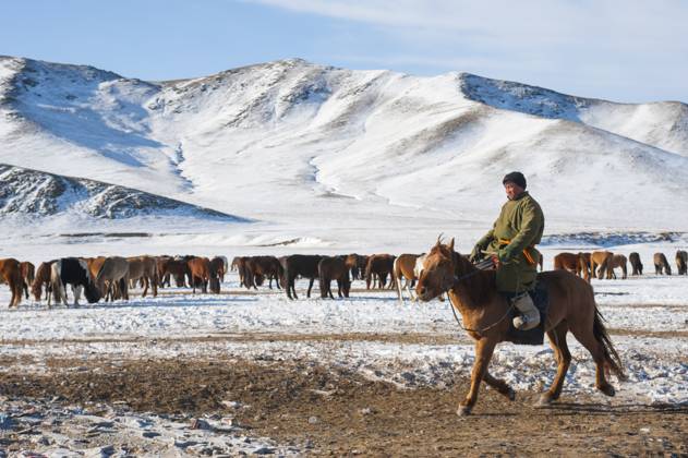 Herders relocating a herd of horses to a winter pasture near Ulaanbaatar, Mongolia. Herders relocating a herd of horses to a winter pasture near Ulaanbaatar, Mongolia., Copyright: xWolfgangxKaehlerx xAvalonx 0563659115