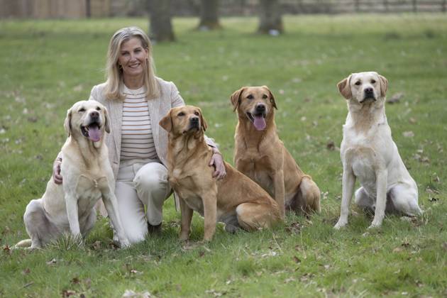Bilder des Jahres 2025, Entertainment 04 April Entertainment Themen der Woche KW15 Entertainment Bilder des Tages . 08 04 2025. Windsor, United Kingdom. Sophie, Duchess of Edinburgh, during a visit to the Yellow Labrador Club in Windsor, United Kingdom.  xi-Imagesx IIM-25873-0025