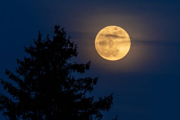 Bilder des Jahres 2025, News 04 April News Bilder des Tages Ostermond, Pink Moon, Vollmond am Nachthimmel über München, Nacht 12. 13. April 2025 Deutschland, München, 12. 13.April 2025, Ostermond, Pink Moon, Vollmond am Nachthimmel über München, geht am Horizont über München auf, leicht verschleiert mit einem Hof
