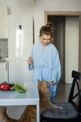 MR_ID27929_20617_TatyanaRangulova.jpg, PR_ID27929_10891_Cat.jpg, PR_ID27929_10892_Room.jpg A woman in a light blue robe feeds her cat in a modern kitchen. Fresh vegetables on the table create a warm, homely atmosphere, perfect for a lifestyle theme., Property released Model Released LiliyaSolopova_ID27929_802056_002 Copyright: xLiliyaxSolopovax