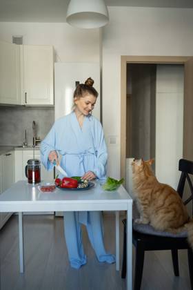 MR_ID27929_20617_TatyanaRangulova.jpg, PR_ID27929_10891_Cat.jpg, PR_ID27929_10892_Room.jpg A woman in a blue robe smiles while chopping vegetables in a modern kitchen. Her orange cat attentively watches from a chair, creating a cozy domestic scene., Property released Model Released LiliyaSolopova_ID27929_802057_003 Copyright: xLiliyaxSolopovax