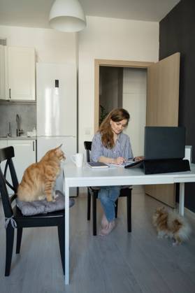 MR_ID27929_20617_TatyanaRangulova.jpg, PR_ID27929_10891_Cat.jpg, PR_ID27929_10892_Room.jpg A woman works from home, writing notes at a table with her laptop. A ginger cat sits nearby, and a dog is on the floor. The modern kitchen creates a cozy ambiance., Property released Model Released LiliyaSolopova_ID27929_802073_015 Copyright: xLiliyaxSolopovax