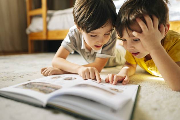 Brothers reading a book together at home model released, Symbolfoto property released, ANAF04612