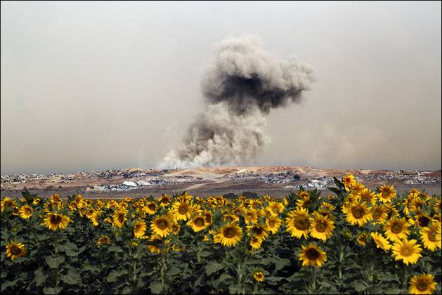 Bilder des Jahres 2025, News 05 Mai News Themen der Woche KW20 News Bilder des Tages Smoke rises from inside the Gaza Strip as seen near an Israeli field of sunflowers in full bloom inside southern Israel on May 18, 2025. Amid continuing talks in Doha, Israeli Defense Minister Israel Katz said today that Israel has began phone I of Operation Gideon s Chariots that will seize strategic area of the Hamas9run Gaza Strip.  AISR20250518001 JimxHollander