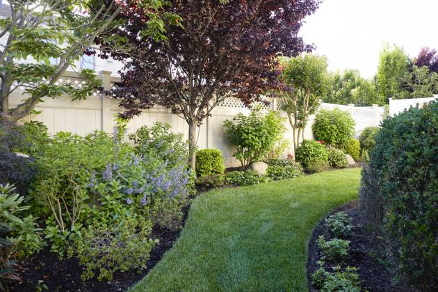 Lawn, trees and flowers in backyard New York City,New York,USA, 08.06.2024, ,property released TTBB_tbs330894.jpg, Backyard,Blossom,Bush,Day,Fence,Flower,Garden,Grass,Horizontal,Landscape,Landscaped,Lawn,Long Beach,Lush Foliage,New York,New York State,No People,Outdoors,Summer,USA Copyright: xTetraxImagesx