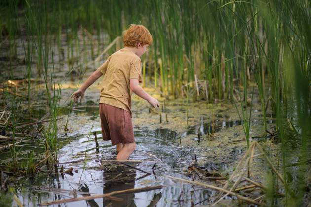 IMAGO Creative, Jahreszeit Sommer, Sommerferien Boy enjoys walking through shallow pond water to explore Granger, Iowa, United States CR_LIPF250526-1741940-01 ,model released, Symbolfoto
