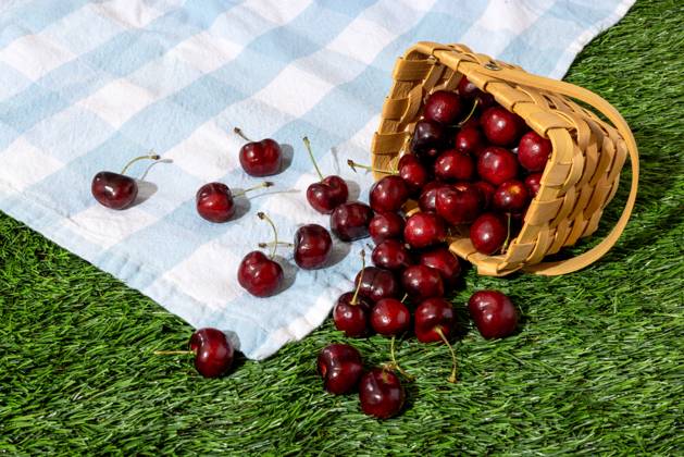 IMAGO Creative, Jahreszeit Sommer, Kirschen Spilled Basket of Fresh Cherries on Gingham Picnic Blanket Laguna Hills, California, United States R_CXKF250522-1734814-01