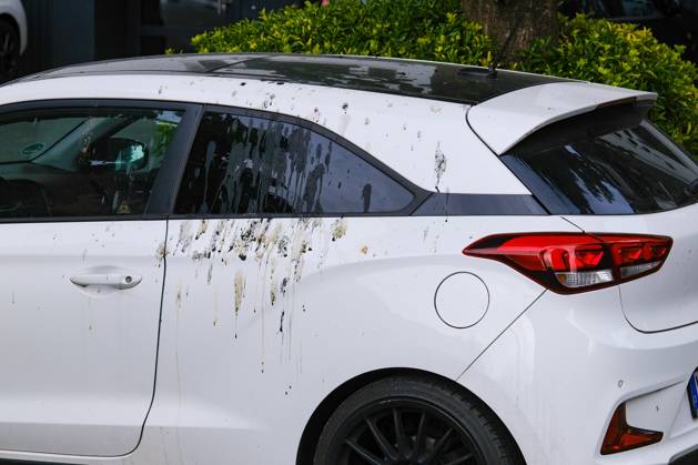 Düsseldorf 04.06.2025 Taubendreck Vogeldreck Taubenkot Vogelkot Vogelkacke Taubenkacke Baumparker Parken unter Baum Autolack Lack KFZ Auto PKW Autowäsche Waschanlage Reinigung Lackschaden Autoversicherung KFZ-Versicherung Kaskoversicherung Vollkasko Teilkasko Lackschaden Düsseldorf Nordrhein-Westfalen Deutschland