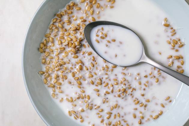 sprouted wheat Porridge With Metal Spoon Bowl sprouted wheat porridge milk breakfast cereal. Metal spoon dipped creamy nutritious morning meal. Top view healthy natural grain dish. Copyright: xNatashaxBreenx NB020525-6