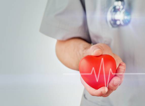 Hände des Mannes Arzt Kardiologe hält rote Herz mit einem Elektrokardiogramm Linie auf sie auf grauem Hintergrund angezeigt. Arzt Pflege Herz Gesundheit Konzept. Welt Hypertonie oder Spender Tag. - Bildmontage Hands of man doctor cardiologist holding red heart with an electrocardiogram line displayed on it on grey background. Doctor care heart health concept. World Hypertension or donor Day. (License=RF) Copyright: xZoonar.com KatsiarynaxHuravax 23688112