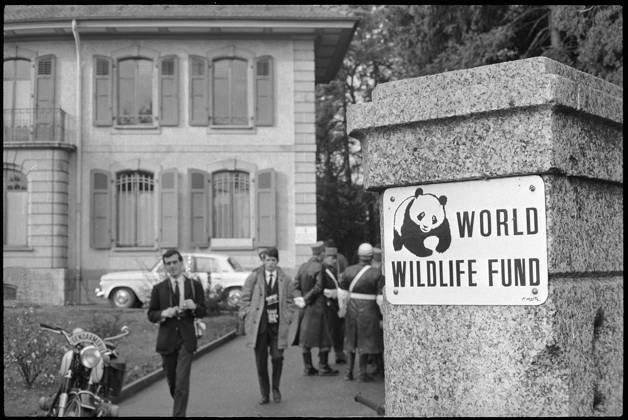 Prince Philip, visit to the WWF, Morges 1965 Prince Philip, visit to the WWF, Morges 1965 Copyright: RDB ATP Stampfli 1032_05_RDB00117125