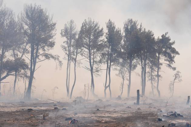 Bilder des Jahres 2025, News 07 Juli News Themen der Woche KW27 Firefighting efforts continue in the Buca district of Izmir IZMIR, TURKIYE - JULY 04: A general view of the burned forest area as firefighters and Turkish General Directorate of Forestry teams continue their efforts to extinguish the fire that broke out in the forest area on July 04, 2025 in Buca district of Izmir, Turkiye. Hakan Akgun Anadolu Izmir Turkey. Editorial use only. Please get in touch for any other usage.  Copyright: x2025xAnadoluxHakanxAkgunx