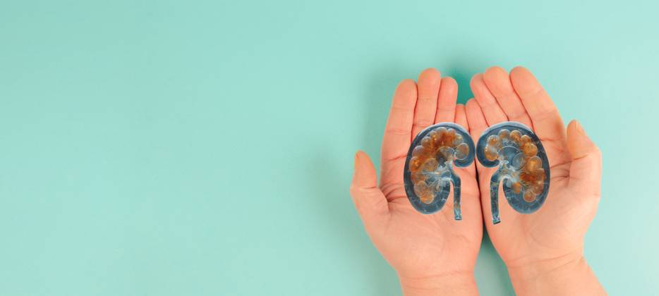 Nierenerkrankung, Weltnierentag, Gesundheitsprobleme, Spende und Transplantation, medizinisches Thema
