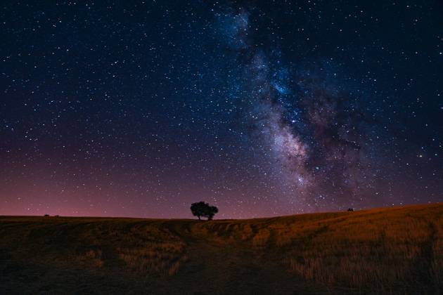 Milky Way stretches across the night sky in Ankara ANKARA, TURKIYE - AUGUST 23: A view shows the Milky Way galaxy shining brightly above a lone tree in a field, captured with long-exposure photography in Ankara, Turkiye, on August 23, 2025. Ercin Erturk Anadolu Ankara Turkey. Editorial use only. Please get in touch for any other usage.  Copyright: x2025xAnadoluxErcinxErturkx