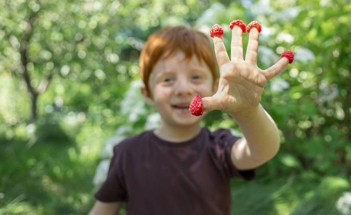Red-haired child laughing with raspberries on fingers in garden model released, Symbolfoto, MBLF01006