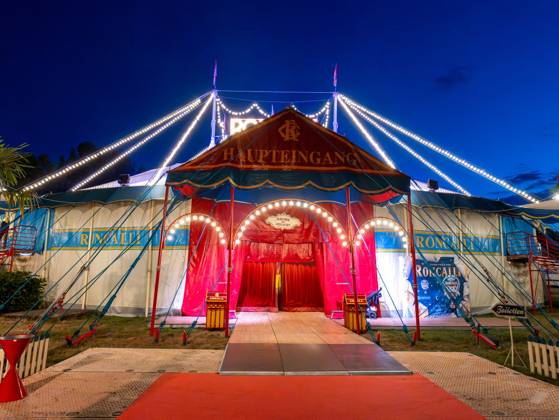 Circus Roncalli in Hannover 2025 - ARTistART - Premiere 2025 des Circus Roncalli in Hannover Copyright: xBerndxGüntherx