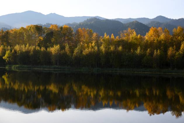 Russia Environment Baikal Lake Protection Law 9010738 20.09.2025 A view shows waste storage areas of the closed Baikal Pulp and Paper Mill in Irkutsk region, Russia. On July, 2023, Russian lawmakers in the country s lower house of parliament, the State Duma, have passed in the first reading a bill authorizing large-scale logging around Lake Baikal for a period of ten years what caused a public outcry. The permission was necessary for the expansion of the Baikal-Amur and Trans-Siberian railroads. The proposed law provides a mechanism for forests situated on protected lands to be reclassified into other land categories, allowing for deforestation and also specifies that clearcutting will be permitted in areas where forests have been lost due  Copyright: xAlexandrxKryazhevx
