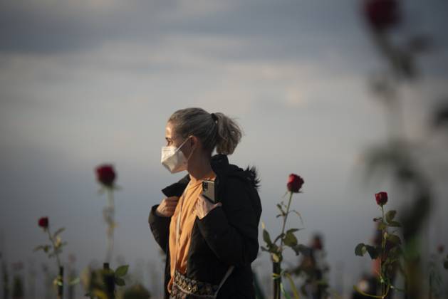 500 thousand deaths by Covid19 in Brazil RIO DE JANEIRO, BRAZIL - JUNE 20: Red roses planted during an event to pay homage to the over 500,000 registered Covid-19 victims and protest against the government s response to the pandemic organized by ONG Rio de Paz at Copacabana Beach on June 20, 2021 in Rio de Janeiro, Brazil. Brazil surpasses 500,000 deaths from coronaviruses, registered the sad mark of half a million deaths since the beginning of the health crisis. Rio de Janeiro Brazil. Editorial use only. Please get in touch for any other usage. Copyright: x2025xAnadoluxFabioxTeixeirax