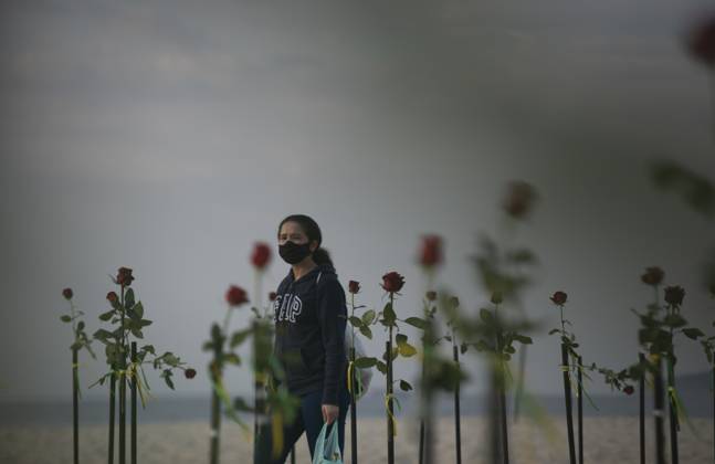 500 thousand deaths by Covid19 in Brazil RIO DE JANEIRO, BRAZIL - JUNE 20: Red roses planted during an event to pay homage to the over 500,000 registered Covid-19 victims and protest against the government s response to the pandemic organized by ONG Rio de Paz at Copacabana Beach on June 20, 2021 in Rio de Janeiro, Brazil. Brazil surpasses 500,000 deaths from coronaviruses, registered the sad mark of half a million deaths since the beginning of the health crisis. Rio de Janeiro Brazil. Editorial use only. Please get in touch for any other usage. Copyright: x2025xAnadoluxFabioxTeixeirax