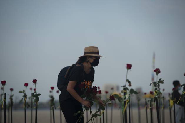 500 thousand deaths by Covid19 in Brazil RIO DE JANEIRO, BRAZIL - JUNE 20: Red roses planted during an event to pay homage to the over 500,000 registered Covid-19 victims and protest against the government s response to the pandemic organized by ONG Rio de Paz at Copacabana Beach on June 20, 2021 in Rio de Janeiro, Brazil. Brazil surpasses 500,000 deaths from coronaviruses, registered the sad mark of half a million deaths since the beginning of the health crisis. Rio de Janeiro Brazil. Editorial use only. Please get in touch for any other usage. Copyright: x2025xAnadoluxFabioxTeixeirax
