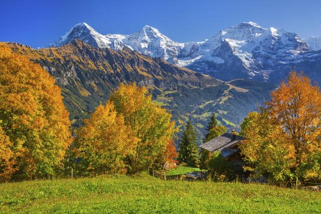 Herbstlandschaft im Weiler Sulwald mit Eiger 3967m, Mönch 4110m und Jungfrau 4158m, Isenfluh, Lauterbrunnental, Berner Oberland, Kanton Bern, Schweiz Autumn landscape in the hamlet of Sulwald with Eiger 3967m, Mönch 4110m and Jungfrau 4158m, Isenfluh, Lauterbrunnental, Bernese Oberland, Canton of Bern, Switzerland Copyright: imageBROKER GuenterxGraefenhain ibxgng15462487