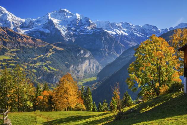 Herbstlandschaft im Weiler Sulwald mit Ausblick auf die, Jungfrau 4158m und ins Lauterbrunnental, Isenfluh, Lauterbrunnental, Berner Oberland, Kanton Bern, Schweiz Autumn landscape in the hamlet of Sulwald with a view of Jungfrau 4158m and the Lauterbrunnen Valley, Isenfluh, Lauterbrunnental, Bernese Oberland, Canton of Bern, Switzerland Copyright: imageBROKER GuenterxGraefenhain ibxgng15462496