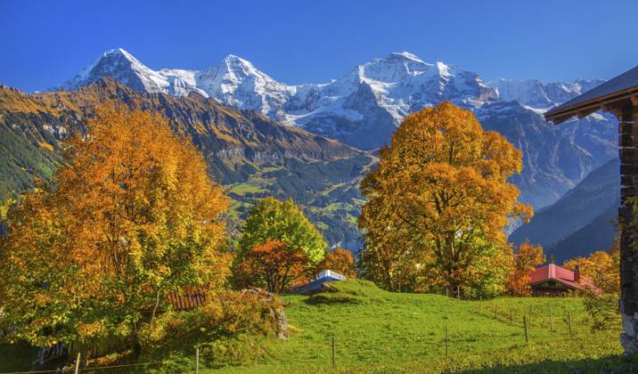 Herbstlandschaft im Weiler Sulwald mit Ausblick auf Eiger 3967m, Mönch 4110m und Jungfrau 4158m, Isenfluh, Lauterbrunnental, Berner Oberland, Kanton Bern, Schweiz Autumn landscape in the hamlet of Sulwald with views of Eiger 3967m, Mönch 4110m and Jungfrau 4158m, Isenfluh, Lauterbrunnental, Bernese Oberland, Canton of Bern, Switzerland Copyright: imageBROKER GuenterxGraefenhain ibxgng15462497