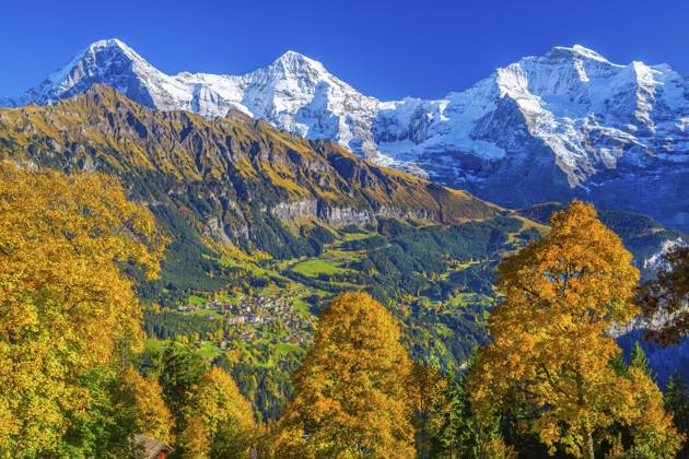 Herbstlandschaft im Weiler Sulwald mit Ausblick auf Wengen und Eiger 3967m, Mönch 4110m und Jungfrau 4158m, Isenfluh, Lauterbrunnental, Berner Oberland, Kanton Bern, Schweiz Autumn landscape in the hamlet of Sulwald with views of Wengen and Eiger 3967m, Mönch 4110m and Jungfrau 4158m, Isenfluh, Lauterbrunnental, Bernese Oberland, Canton of Bern, Switzerland Copyright: imageBROKER GuenterxGraefenhain ibxgng15462500