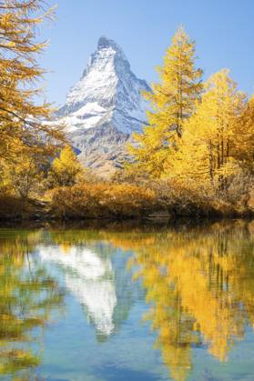 Matterhorn und gelbgoldene Lärchen im Herbst an sonnigen Tagen. Spiegelung im Grindjisee. Farben des Herbstes. Schweizer Alpen. Wallis, Schweiz Matterhorn Mountain and Yellow Golden Larches in Autumn on Sunny Day. Reflection in Lake Grindjisee. Fall Colors. Swiss Alps. Valais, Switzerland Copyright: imageBROKER MaksimxZabarovskii ibxmza15475462