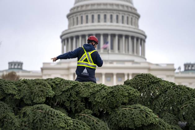 Architect of the Capitol employees unload the 2025 U.S. Capitol Christmas Tree at the U.S. Capitol in Washington, DC on Friday, November 21, 2025. The tree, a 53-foot red fir from the Humboldt-Toiyabe National Forest in Nevada, is nicknamed Silver Belle.  WAP20251121319 BONNIExCASH