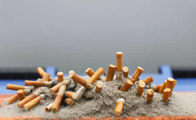 Zigaretten Nahaufnahme von Zigarettenstummeln, die in Asche und Sand stecken, 27.11.2025. Scharbeutz Schleswig-Holstein Deutschland