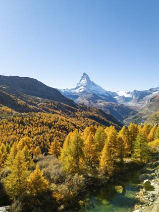Matterhorn und gelbe goldene Lärchen im Herbst an einem sonnigen Oktobertag. Farben des Herbstes. Schweizer Alpen. Luftbild. Zermatt, Wallis, Schweiz Matterhorn Mountain and Yellow Golden Larches in Autumn on Sunny October Day. Fall Colors. Swiss Alps. Aerial View. Zermatt, Valais, Switzerland Copyright: imageBROKER MaksimxZabarovskii ibxmza15774779